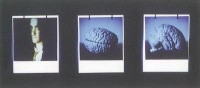 Daniel Blaufuks, Auto- Retrato (Cérebro), da série O Livro do Desassossego, 1996