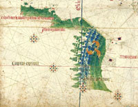 O Brasil no planisfério anónimo português de 1502